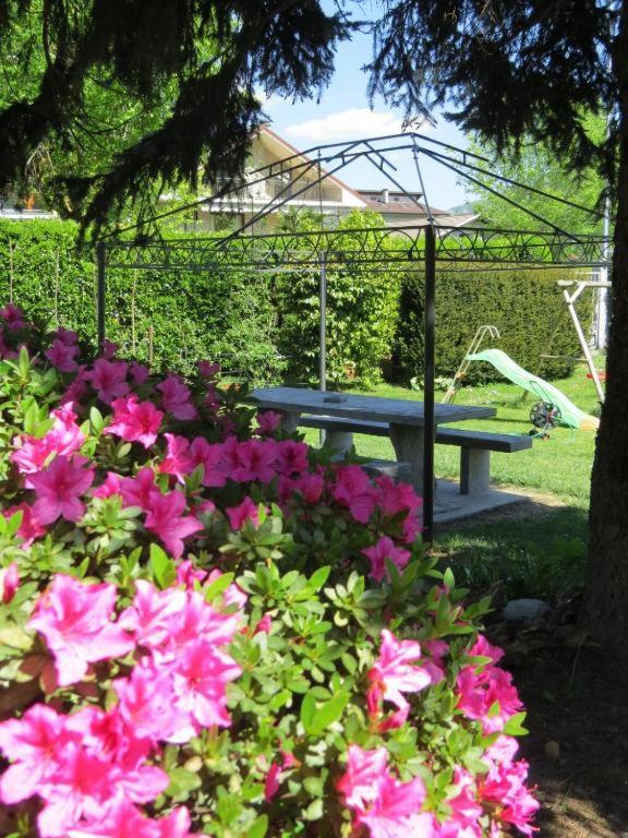 Casa Michela Parking Free Domodossolaアパートメント エクステリア 写真